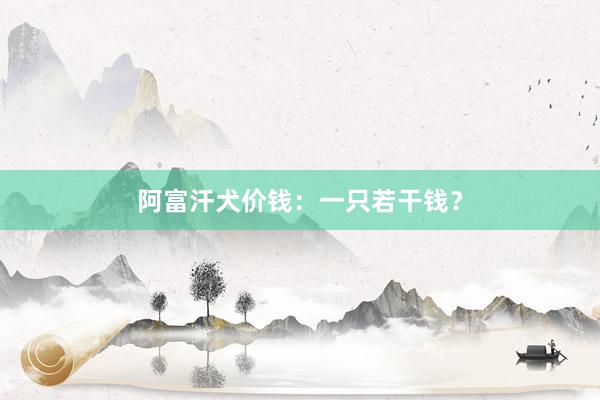 阿富汗犬价钱：一只若干钱？
