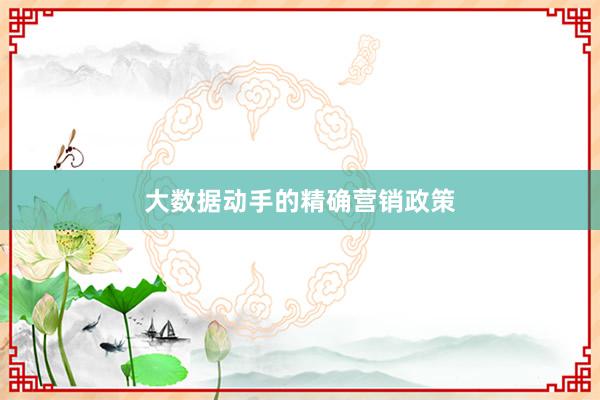 大数据动手的精确营销政策